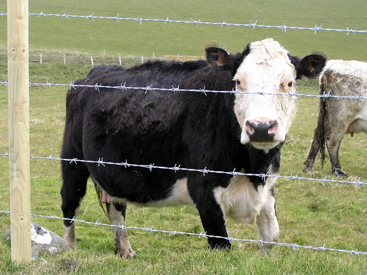 Manual de Gestión ambiental en Tambos