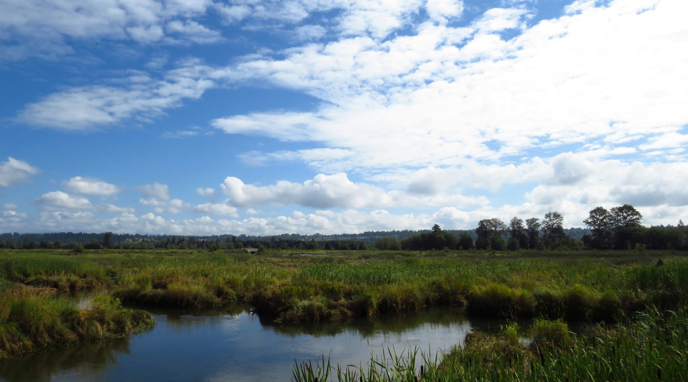 Uruguay fortalece su marco normativo ambiental