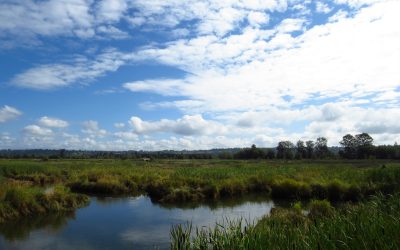 Uruguay fortalece su marco normativo ambiental
