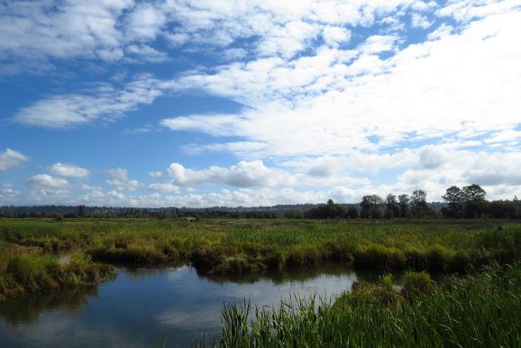 Uruguay fortalece su marco normativo ambiental
