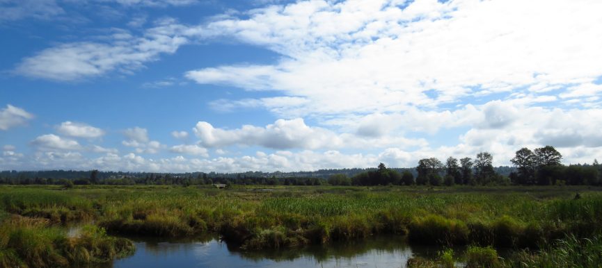 Uruguay fortalece su marco normativo ambiental